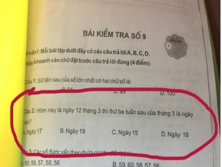 "Hại não" với bài toán suy luận dành cho học sinh lớp 1