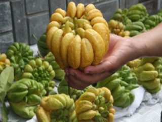 Ý nghĩa các loại quả trong mâm ngũ quả ngày Tết