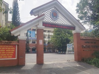 Tạm đình chỉ công tác giáo viên đánh học sinh lớp 2 bầm mông