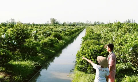 Câu chuyện Anh Ba Việt Nam - Hành trình nảy mầm ước mơ xanh