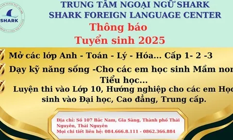 Trung Tâm Ngoại Ngữ SHARK – Thái Nguyên “Ươm Mầm Tương Lai”
